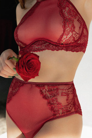 Жіночі мереживні трусики ELEGANT PEAS бордового кольору бренду NANIKA, вигляд на моделі спереду, висока посадка.